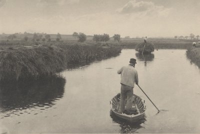 Quanting il fieno della palude da Peter Henry Emerson