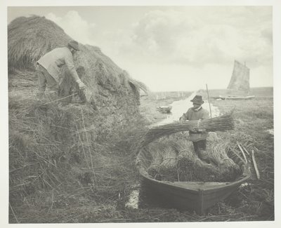 Raccogliendo la canna da Peter Henry Emerson