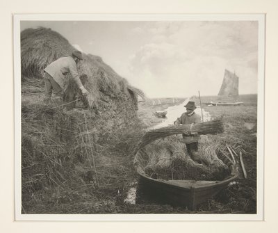 Raccogliendo la canna da Peter Henry Emerson