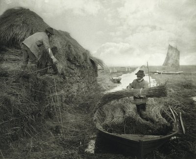 Raccogliendo la canna, c.1885 da Peter Henry Emerson