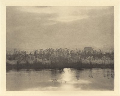Cristalli di brina da Peter Henry Emerson