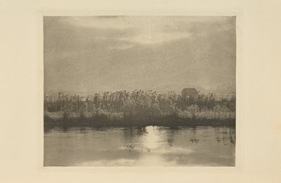  da Peter Henry Emerson