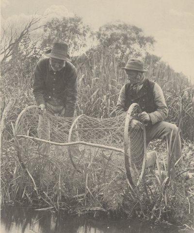 Preparazione della rete ad arco da Peter Henry Emerson