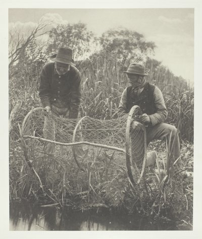 Impostazione della rete ad arco da Peter Henry Emerson