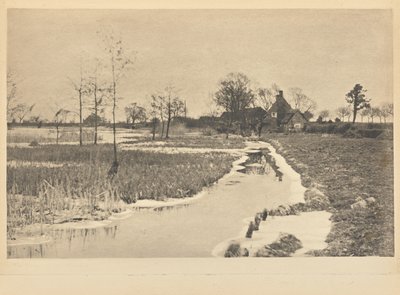 [The Edge of the Broad] da Peter Henry Emerson