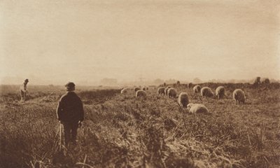 Le paludi a giugno da Peter Henry Emerson