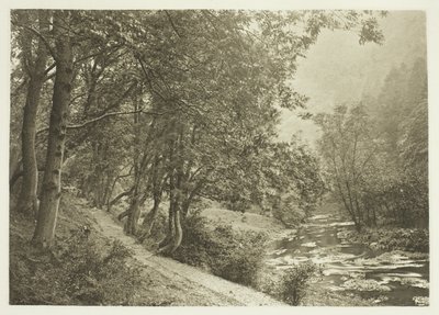 Il sentiero sopra il primo Brae, Dove Dale da Peter Henry Emerson
