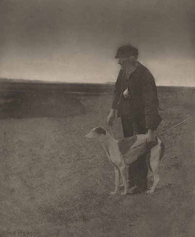 Il bracconiere - Una lepre in vista da Peter Henry Emerson