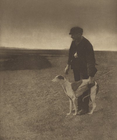 Il bracconiere - Una lepre in vista. [Suffolk.] da Peter Henry Emerson