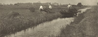  da Peter Henry Emerson
