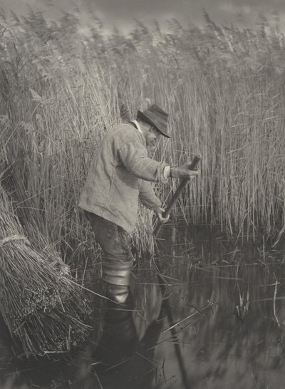 Un tagliatore di canne al lavoro da Peter Henry Emerson and T.F. Goodall