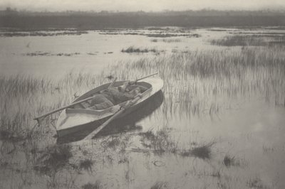 Artigliere che lavora fino agli uccelli da Peter Henry Emerson and T.F. Goodall