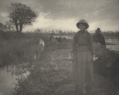 Raccolta del Fieno nella Palude da Peter Henry Emerson and T.F. Goodall