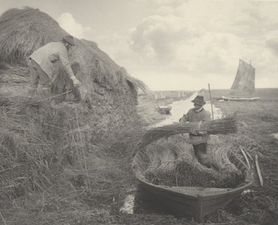 Raccogliendo la canna da Peter Henry Emerson and T.F. Goodall