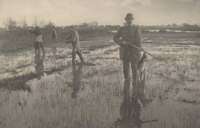 Caccia al beccaccino da Peter Henry Emerson and T.F. Goodall