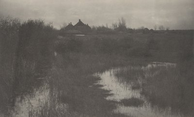 Il margine della palude da Peter Henry Emerson and T.F. Goodall