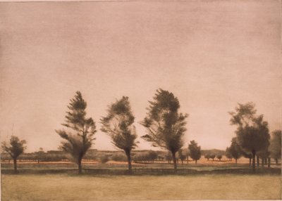 Paesaggio da Falster da Peter Vilhelm Ilsted