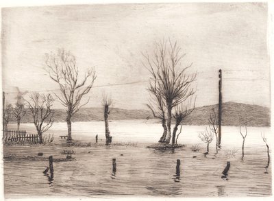 Paesaggio invernale a Tyreholm da Peter Vilhelm Ilsted