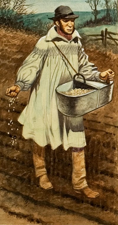 Semina da Peter Jackson