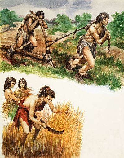 Agricoltura dell