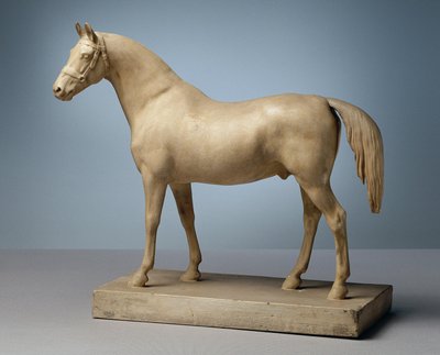 Cavallo non sellato da Peter Krafft
