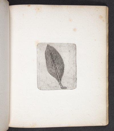 Impronta di foglia da Peter Larsen Kyhl