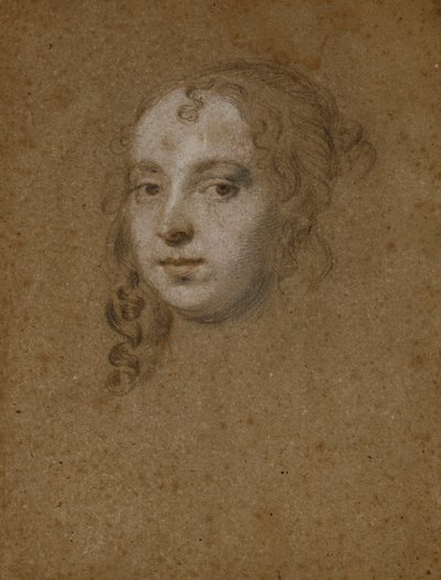 Ritratto di una signora da Peter Lely