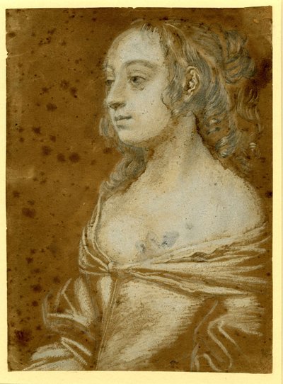 Ritratto di signora












 con i capelli in boccoli a mezza lunghezza da Peter Lely