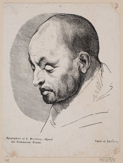 Testa di un uomo calvo da Peter Ludvig Meisling