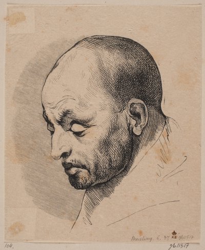 Testa di un uomo calvo da Peter Ludvig Meisling