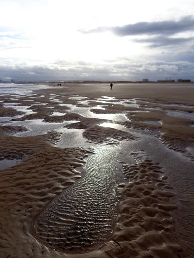 Bassa marea Hartlepool, 2016 da Peter McClure