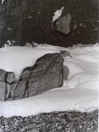 Foto vintage in bianco e nero n.3, 1985 da Peter McClure