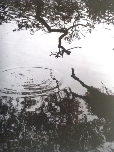 FOTO VINTAGE B&N No.5, 1986 da Peter McClure