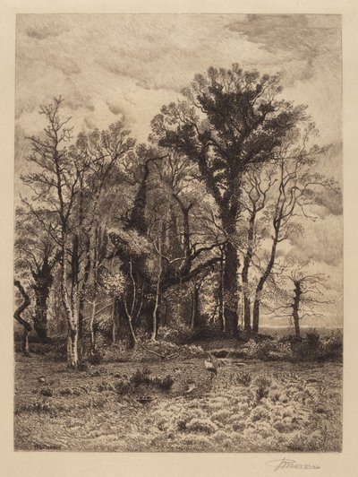 Il bordo della palude da Peter Moran