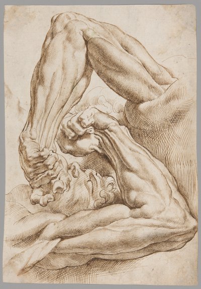 Foglio di studi anatomici da Peter Paul Rubens