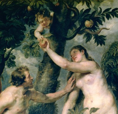 Adamo ed Eva (copiato dal dipinto di Tiziano) (dettaglio) da Peter Paul Rubens