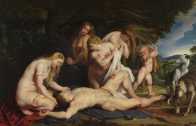 La morte di Adone da Peter Paul Rubens