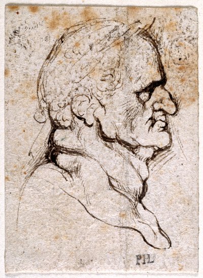 Galba, da dieci disegni di otto dei primi dodici Cesari, dopo le medaglie di Giovanni da Cavino da Peter Paul Rubens