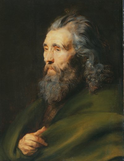 Studio della testa di un uomo barbuto, c.1617 da Peter Paul Rubens
