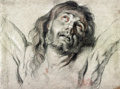 Testa di Cristo sulla croce di Peter Paul Rubens da Peter Paul Rubens