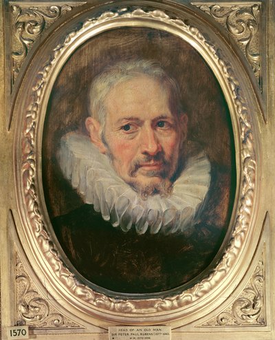 Testa di un vecchio da Peter Paul Rubens