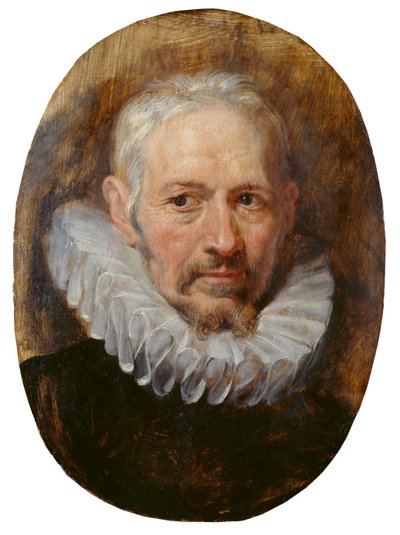 Testa di un vecchio da Peter Paul Rubens