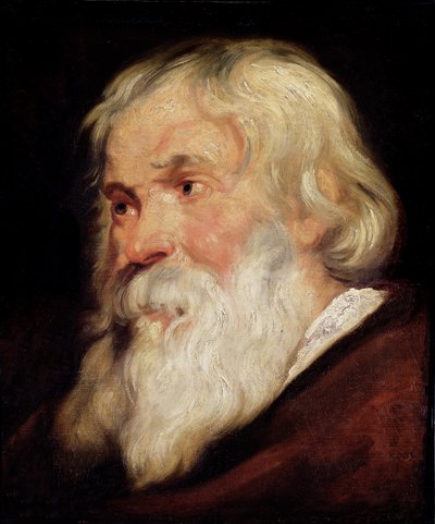 Testa di un vecchio da Peter Paul Rubens