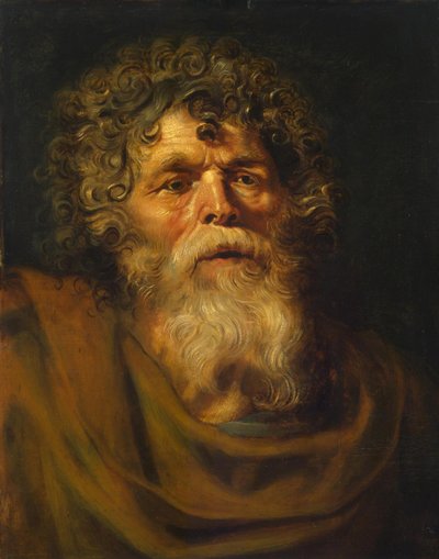 Testa di un vecchio, studio per 