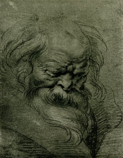 Studio di testa per Bacco da Peter Paul Rubens