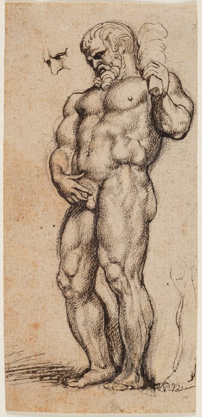 Ercole da Peter Paul Rubens