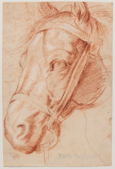  da Peter Paul Rubens