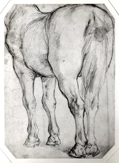 Retro del cavallo da Peter Paul Rubens
