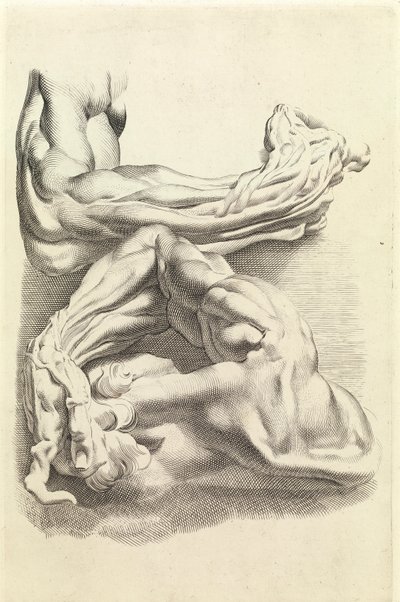 Muscoli da Peter Paul Rubens