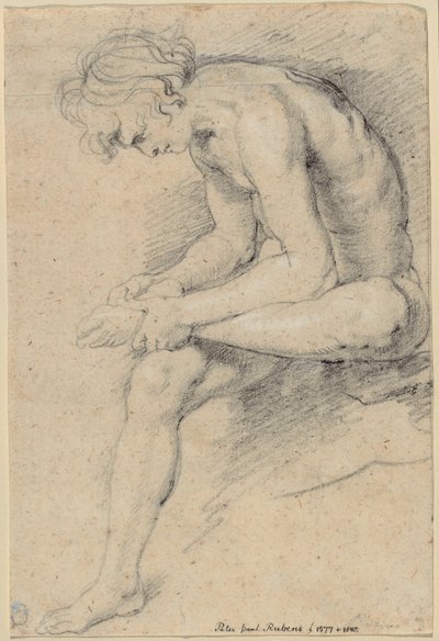 Giovane Nudo nella Posizione dello Spinario da Peter Paul Rubens